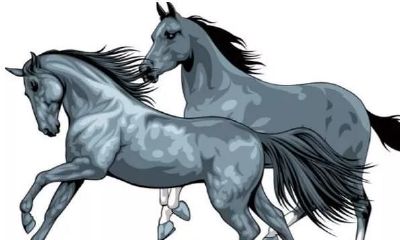 有骨气的3个生肖,凡事靠自己,从来不服输,是不是你?