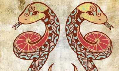 双子男和射手女配对