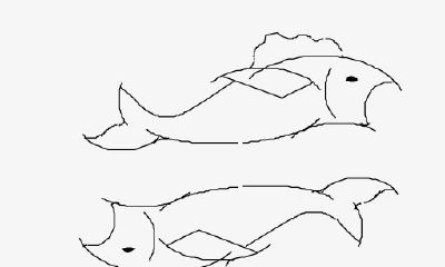 双鱼座适合的行业