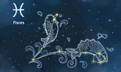 双鱼座的自救指数