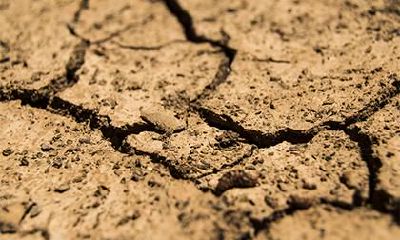 2018年鬼节出生的女孩五行缺木取名,中元节女孩有什么说法?