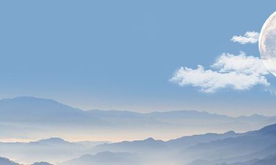 虎小宝宝名字2022