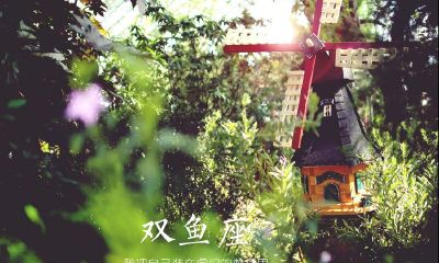 双鱼座的职业选择,双鱼座适合什么职业