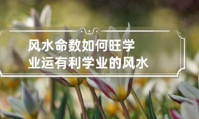 风水命数如何旺学业运 有利学业的风水