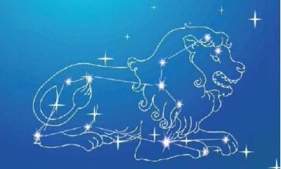 狮子座的韩版兔宝贝