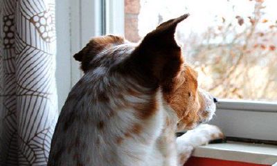 为什么说泪痣一定不可以去