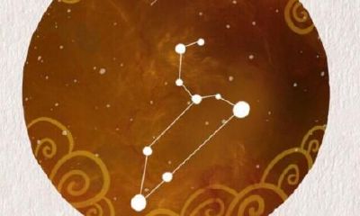 狮子座嫁大款机率