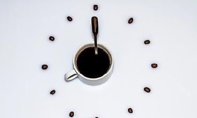 属马的适合什么工作