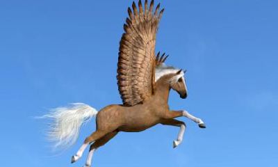 2002年属马的人2017年运程