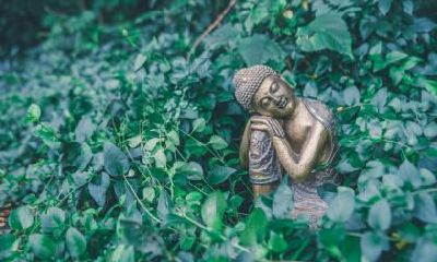 属马人最想实现的三个愿望是什么