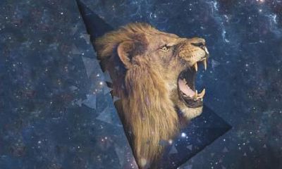 狮子座糙米咖啡瘦身方法