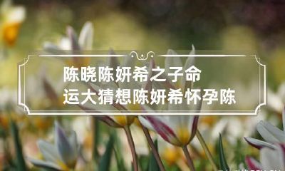 陈晓陈妍希之子命运大猜想 陈妍希怀孕陈晓才娶她