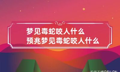 梦见毒蛇咬人什么预兆 梦见毒蛇咬人什么预兆周公解梦