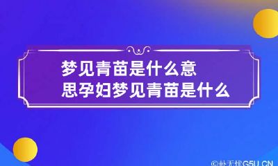 梦见青苗是什么意思 孕妇梦见青苗是什么意思