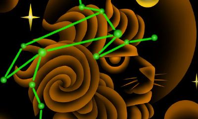 狮子座的爱情原型(狮子座爱情)