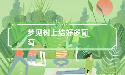 梦见树上结好多葡萄