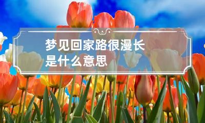 梦见回家路很漫长是什么意思