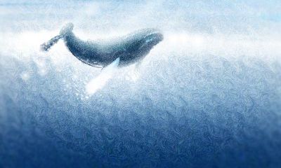 如何对付属鼠的人被失眠所困扰