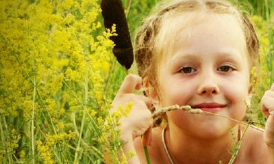 龙和猪生虎宝宝好吗?