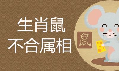 属鼠的和什么属相不合会破财