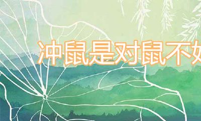 冲鼠是对鼠不太好吗