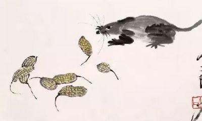 关于鼠的小知识,你知道哪些