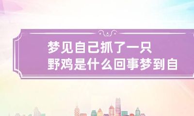 梦见自己抓了一只野鸡是什么回事 梦到自己抓到了一只野鸡