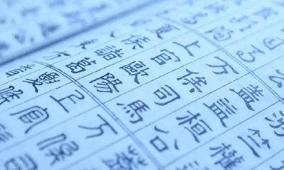 属牛金命适合做哪些行业