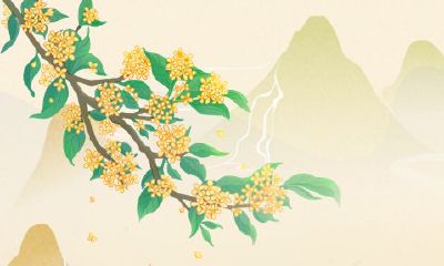 2023年百年难遇的八字