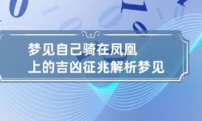 梦见自己骑在凤凰上的吉凶征兆解析 梦见自己骑着凤凰在天上飞