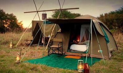 狮子座如何享乐大暑假?