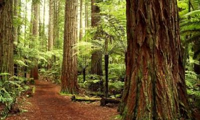 2019猪年农历十月出生的人五行缺什么?