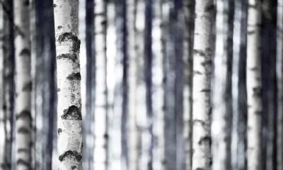 五行缺水的女孩如何起名?