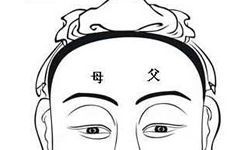 父母宫有痣预示着什么呢