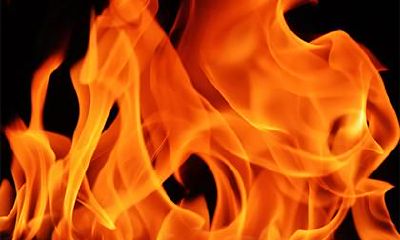 2019年下元节女孩五行缺木新颖好听的名字