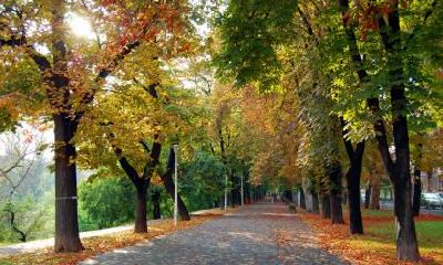 2019年下元节出生女孩最新五行缺火名字推荐!