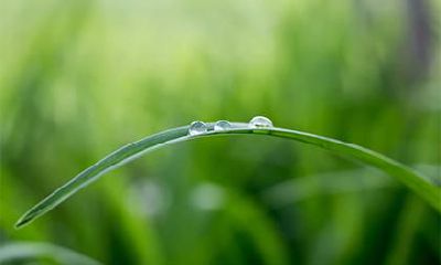 2019年小雪节气出生的宝宝属什么五行,八字起名怎么取?