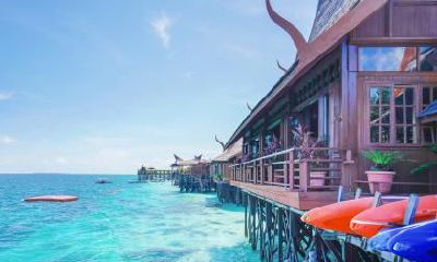 2019猪年冬至出生的男孩八字缺木起名,冬至出生五行缺什么?