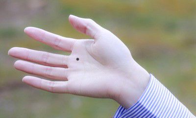 女人手掌有痣代表什么