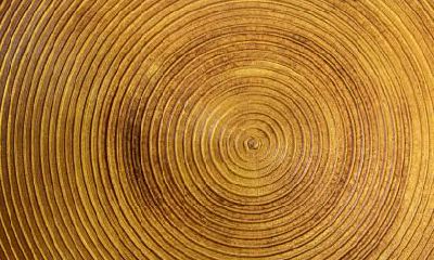 2019年冬至出生女宝宝缺火名字起名,冬至出生五行属性解析