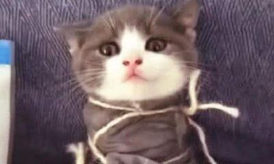 梦到手和脚被绑