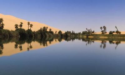 2019年小雪节气出生五行缺金文雅有气质的女孩名字