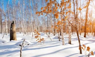 2019年大雪节气出生女孩五行缺火的活泼可爱名字精选