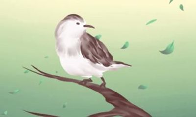 2021年属牛佩戴什么 戴什么能转运