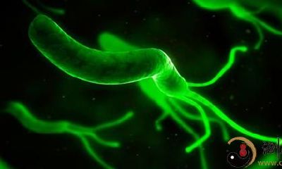 梦到肚子里长虫