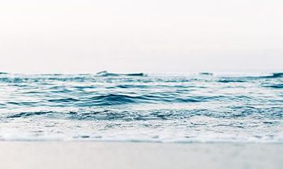 2019年立秋出生的男孩五行缺木的帅气名字精选