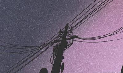 为什么牛是爱情中最现实的生肖