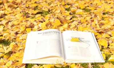 2019年立秋出生的男孩缺金名字和宜用字推荐