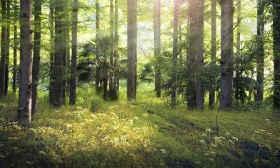 2019年立秋出生的男孩五行缺金名字怎么取?