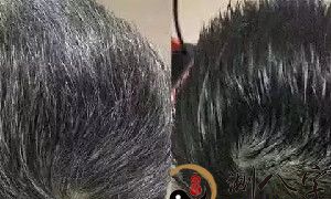 梦见白头发变为黑头发